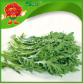 Verduras frescas Crowndaisy Crisantemo Hortalizas de hoja